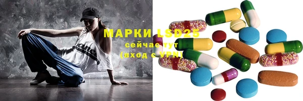 ПСИЛОЦИБИНОВЫЕ ГРИБЫ Верея
