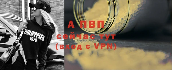 ПСИЛОЦИБИНОВЫЕ ГРИБЫ Верея