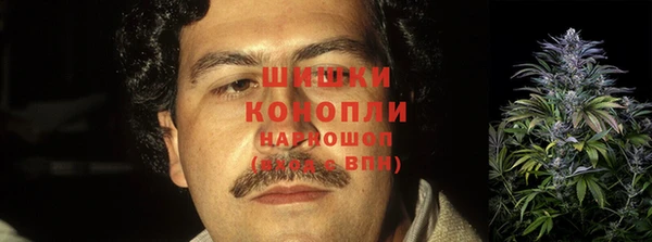 ПСИЛОЦИБИНОВЫЕ ГРИБЫ Верея