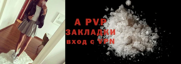ПСИЛОЦИБИНОВЫЕ ГРИБЫ Верея