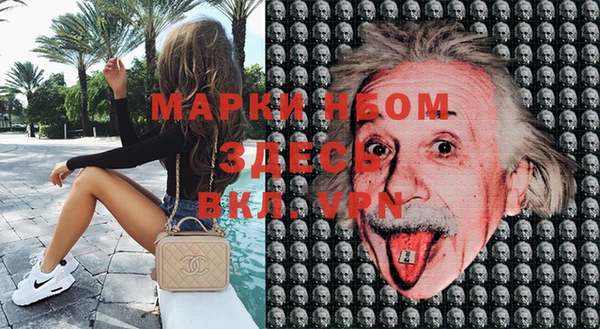ПСИЛОЦИБИНОВЫЕ ГРИБЫ Верея