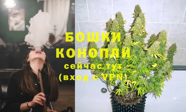 ПСИЛОЦИБИНОВЫЕ ГРИБЫ Верея