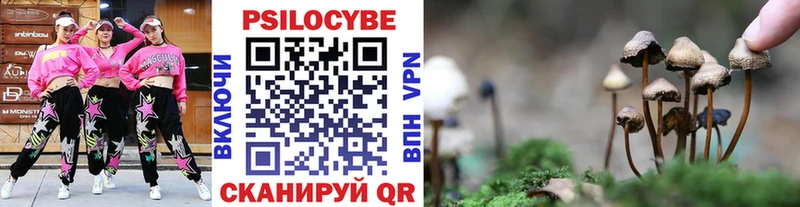 Галлюциногенные грибы мухоморы  Кимры 